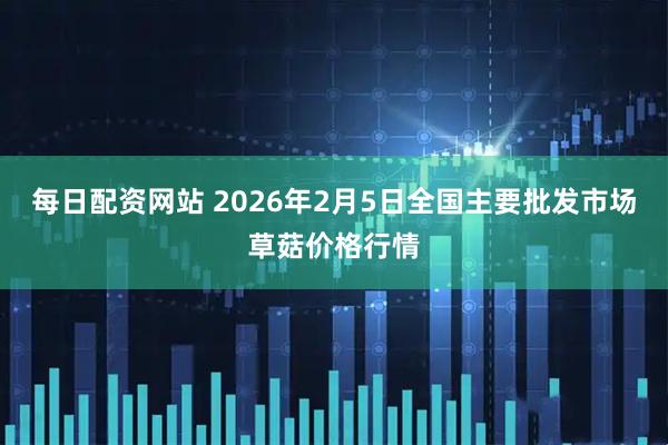 每日配资网站 2026年2月5日全国主要批发市场草菇价格行情